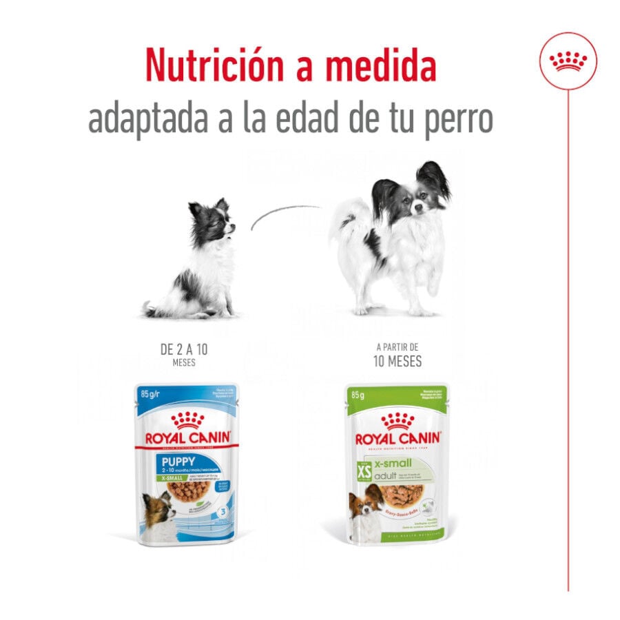 Royal Canin X-Small Adult saquetas com molho para cães, , large image number null